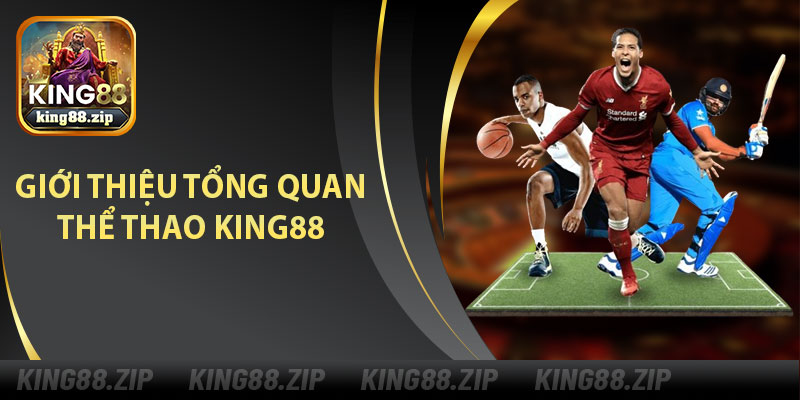 Giới Thiệu Tổng Quan Thể Thao King88