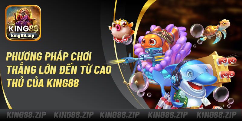 Phương pháp chơi bắn cá nàng tiên cá thắng lớn đến từ cao thủ của King88
