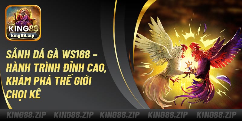 Sảnh Đá Gà WS168 – Hành Trình Đỉnh Cao, Khám Phá Thế Giới Chọi Kê