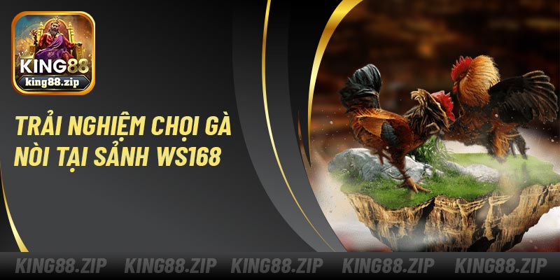 Trải nghiệm chọi gà nòi tại sảnh WS168
