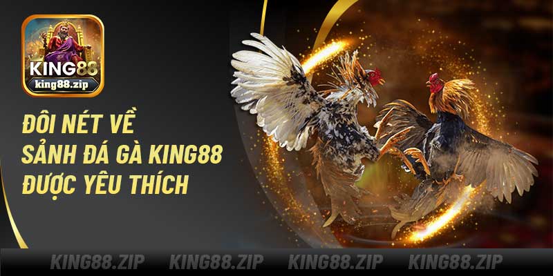 Đôi nét về sảnh đá gà King88 được yêu thích
