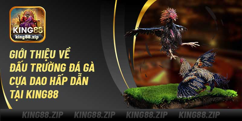 Giới thiệu về đấu trường đá gà cựa dao King88 hấp dẫn 