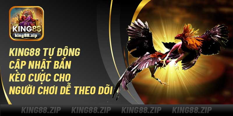 Đá gà đòn King88 tự động cập nhật bản kèo cược cho người chơi dễ theo dõi