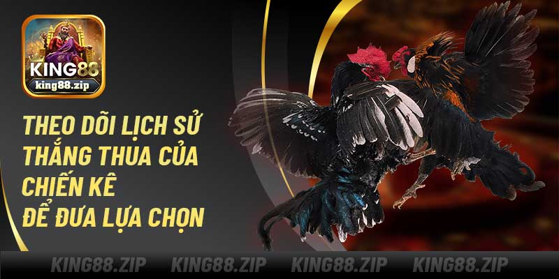 Theo dõi lịch sử thắng thua của chiến kê để đưa lựa chọn 
